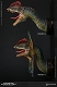 ミュージアムコレクションシリーズ/ ディロフォサウルス バスト Cタイプ MUS002C - イメージ画像9