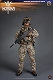 【お取り寄せ品】KSK ドイツ連邦 陸軍 特殊作戦 コマンド 1/6 アクションフィギュア SS104 - イメージ画像1