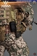 【お取り寄せ品】KSK ドイツ連邦 陸軍 特殊作戦 コマンド 1/6 アクションフィギュア SS104 - イメージ画像31