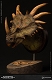 ミュージアムコレクションシリーズ/ スティラコサウルス バスト グリーン ver MUS004A - イメージ画像1