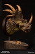 ミュージアムコレクションシリーズ/ スティラコサウルス バスト グリーン ver MUS004A - イメージ画像3