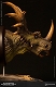 ミュージアムコレクションシリーズ/ スティラコサウルス バスト グリーン ver MUS004A - イメージ画像4