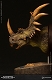 ミュージアムコレクションシリーズ/ スティラコサウルス バスト グリーン ver MUS004A - イメージ画像6