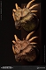 ミュージアムコレクションシリーズ/ スティラコサウルス バスト グリーン ver MUS004A - イメージ画像8