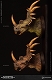 ミュージアムコレクションシリーズ/ スティラコサウルス バスト グリーン ver MUS004A - イメージ画像9
