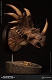 ミュージアムコレクションシリーズ/ スティラコサウルス バスト ブラウン ver MUS004B - イメージ画像3