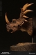 ミュージアムコレクションシリーズ/ スティラコサウルス バスト ブラウン ver MUS004B - イメージ画像5