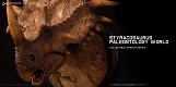 ミュージアムコレクションシリーズ/ スティラコサウルス バスト ブラウン ver MUS004B - イメージ画像6