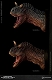 ミュージアムコレクションシリーズ/  カルノタウルス バスト Aカラー ver MUS005A - イメージ画像10