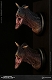 ミュージアムコレクションシリーズ/  カルノタウルス バスト Aカラー ver MUS005A - イメージ画像11