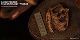 ミュージアムコレクションシリーズ/  カルノタウルス バスト Aカラー ver MUS005A - イメージ画像9