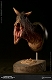 ミュージアムコレクションシリーズ/  カルノタウルス バスト Bカラー ver MUS005B - イメージ画像4