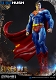 【内金確認後のご予約確定】【送料無料】ミュージアムマスターライン/ バットマン ハッシュ: スーパーマン マントキャスト 1/3 スタチュー MMDCBH-02S - イメージ画像19