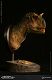ミュージアムコレクションシリーズ/ カルノタウルス メス バスト Aカラー ver MUS006A - イメージ画像2