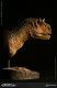 ミュージアムコレクションシリーズ/ カルノタウルス メス バスト Aカラー ver MUS006A - イメージ画像3