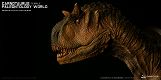 ミュージアムコレクションシリーズ/ カルノタウルス メス バスト Aカラー ver MUS006A - イメージ画像7