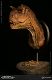 ミュージアムコレクションシリーズ/ カルノタウルス メス バスト Bカラー ver MUS006B - イメージ画像1