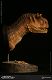 ミュージアムコレクションシリーズ/ カルノタウルス メス バスト Bカラー ver MUS006B - イメージ画像3