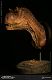 ミュージアムコレクションシリーズ/ カルノタウルス メス バスト Bカラー ver MUS006B - イメージ画像4