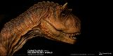 ミュージアムコレクションシリーズ/ カルノタウルス メス バスト Bカラー ver MUS006B - イメージ画像6