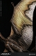 ミュージアムコレクションシリーズ/ ケツァルコアトルス スタチュー Aカラー ver MUS007A - イメージ画像12
