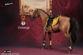 女性騎手＆乗用馬 1/6 アウトフィット＆アクセサリー Bセット MF004B - イメージ画像15
