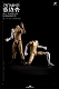 リアリスティック ロボット シリーズ/ ロボティック ピンヤイク ヌードボディ 1/6 アクショフィギュア DIY ブラック ver - イメージ画像2