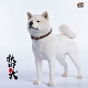 秋田犬 B 1/6 フィギュア JXK007B - イメージ画像1