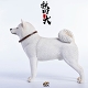 秋田犬 B 1/6 フィギュア JXK007B - イメージ画像3
