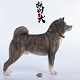 秋田犬 C 1/6 フィギュア JXK007C - イメージ画像2
