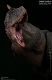 ミュージアムコレクションシリーズ/ カルノタウルス スタチュー Aカラー ver MUS009A - イメージ画像7