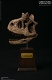 ミュージアムコレクションシリーズ/ カルノタウルス スタチュー Aカラー エクスクルーシブ ver MUS009AEX - イメージ画像16