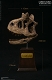 ミュージアムコレクションシリーズ/ カルノタウルス スタチュー Bカラー エクスクルーシブ  ver MUS009BEX - イメージ画像14