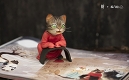 【国内限定流通】画猫 夢唐之紅線 by 瓜几拉 PVCスタチュー - イメージ画像12