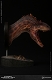 ミュージアムコレクションシリーズ/ アロサウルス バスト Aカラー ver MUS010A - イメージ画像1