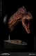 ミュージアムコレクションシリーズ/ アロサウルス バスト Aカラー ver MUS010A - イメージ画像5