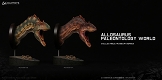 ミュージアムコレクションシリーズ/ アロサウルス バスト Aカラー ver MUS010A - イメージ画像8