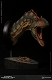 ミュージアムコレクションシリーズ/ アロサウルス バスト Bカラー ver MUS010B - イメージ画像5