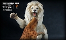 ライオン vs ハイエナ 1/6 スタチュー ライトカラー ver 1700060 - イメージ画像5