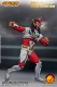 【再生産】新日本プロレス 獣神サンダーライガー アクションフィギュア NJLG01 - イメージ画像14