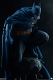 DCコミックス/ バットマン on ガーゴイル プレミアムフォーマット フィギュア - イメージ画像19
