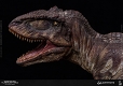 ミュージアムコレクションシリーズ/ ギガノトサウルス スタチュー MUS014 - イメージ画像18