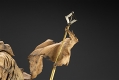 【お取り寄せ終了】ARTFX アーティストシリーズ feat. 岡崎能士/ スターウォーズ 新たなる希望: タスケン・レイダー 1/7 PVC 砂漠蛮族 ver - イメージ画像13