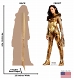 WONDER WOMAN 1984 GOLD OUTFIT LIFE-SIZE STAND UP / OCT202580 - イメージ画像2
