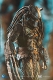 エクスクイジットミニシリーズ/ AVP エイリアン vs プレデター: テンプルガード・プレデター 1/18 アクションフィギュア LP0116 - イメージ画像6