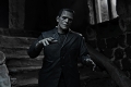 ユニバーサルモンスター/ フランケンシュタイン Frankenstein: フランケンシュタイン モンスター アルティメット 7インチ アクションフィギュア - イメージ画像5