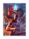 マーベルコミック/ デアデビル＆スパイダーマン by フェリペ・マッサフェラ アートプリント - イメージ画像1