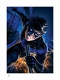 DCコミックス/ ナイトウィング by ウォーレン・ロウ アートプリント - イメージ画像1