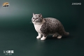 肥猫 ファットキャット 1/6 フィギュア ver.D JXK064D - イメージ画像1