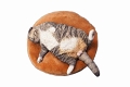 惰眠を貪る猫 1/6 フィギュア A JXK070A - イメージ画像1
